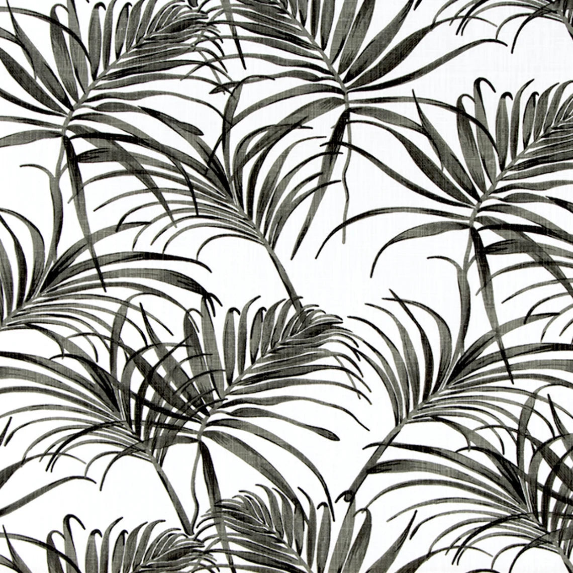 Back Tab Curtain Panels Pairs in Karoo Raven Black Watercolor Tropical Foliage