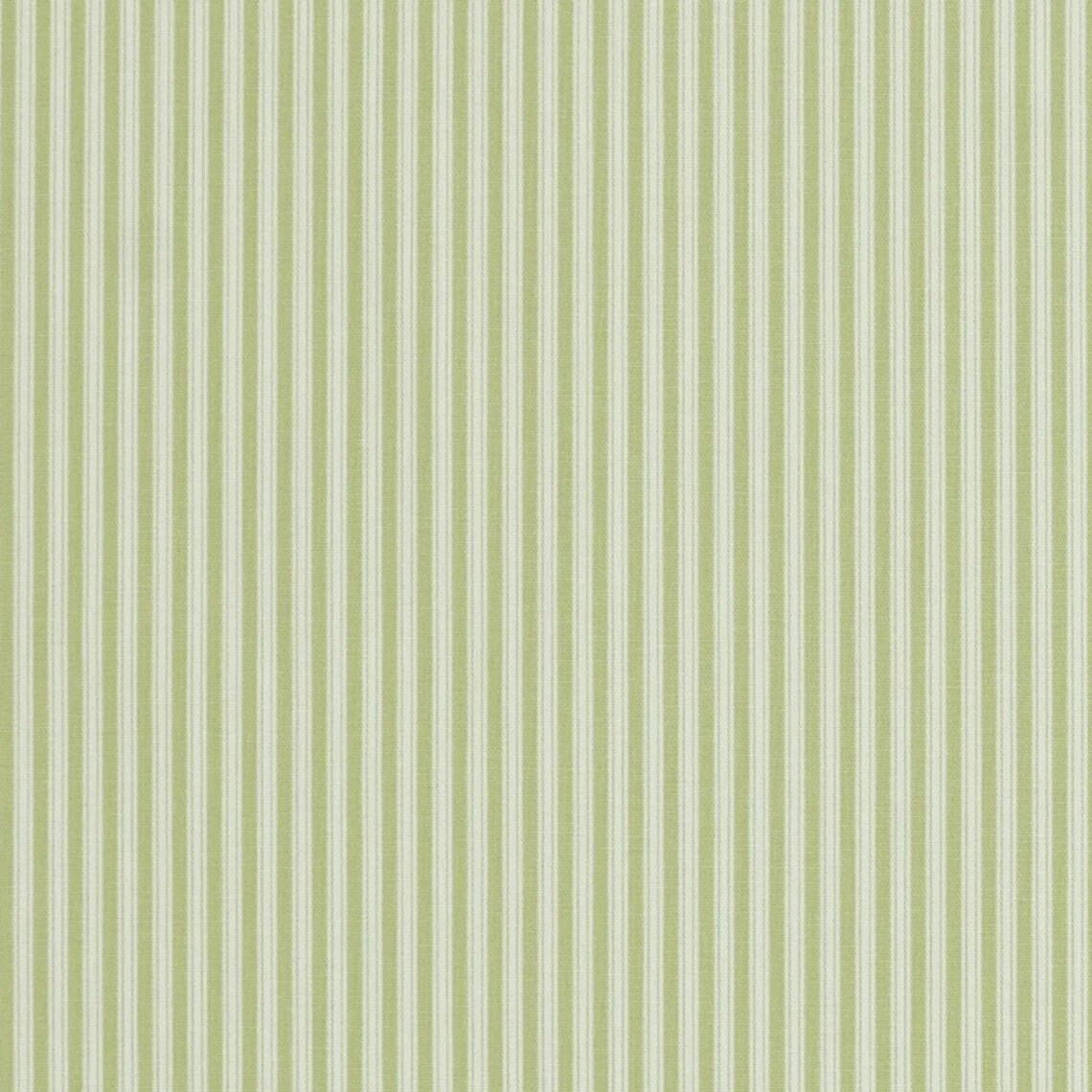 Polo Stripe Fabric