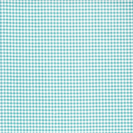 Stall (Narrow) Shower Curtain in Farmhouse Aqua Blue Gingham Check on Cream