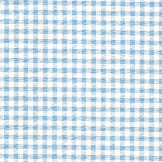 Stall (Narrow) Shower Curtain in Weathered Blue Large Gingham Check on White