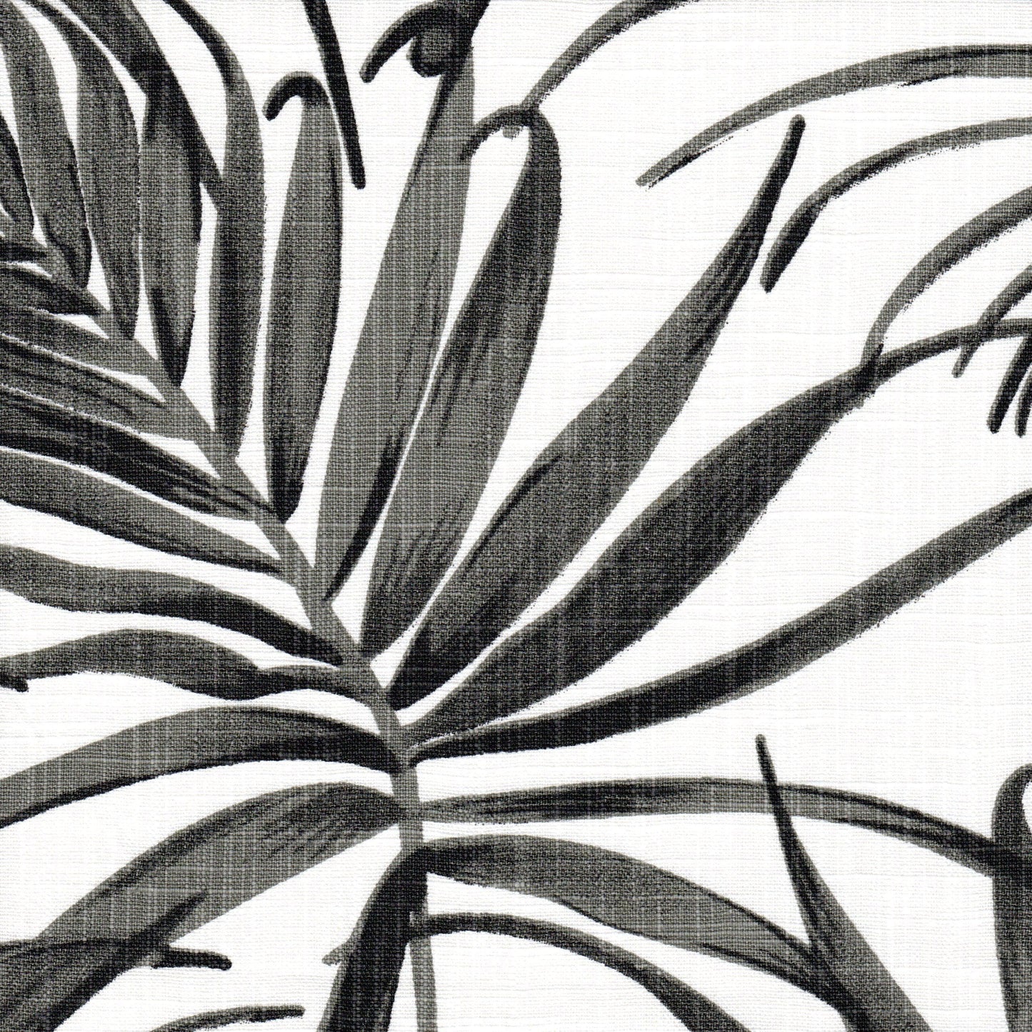 Fabric Cut Yardage in Karoo Raven Black Watercolor Tropical Foliage