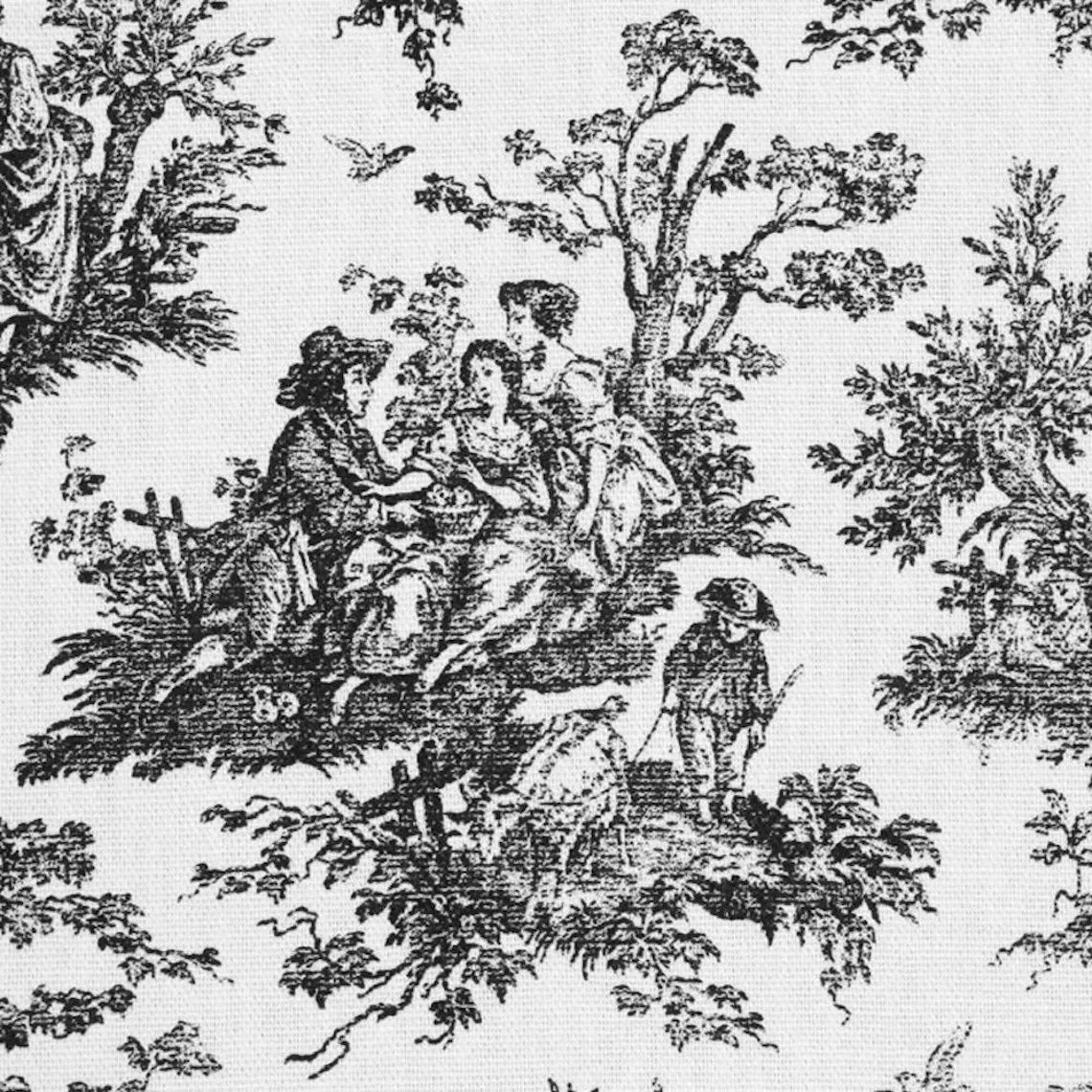 tailored bedskirt in jamestown black colonial country toile