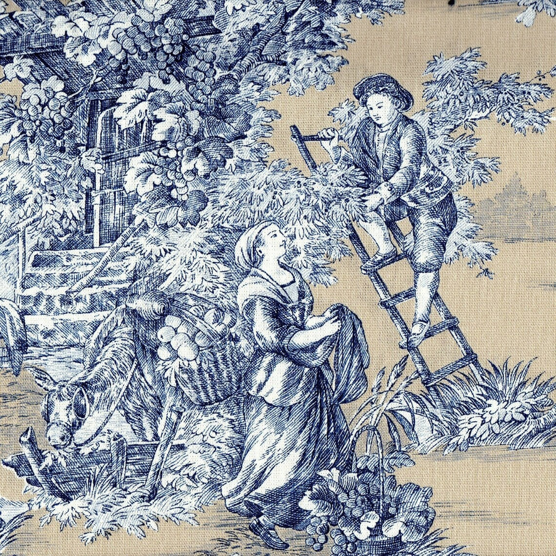 Pastorale French Country Toile