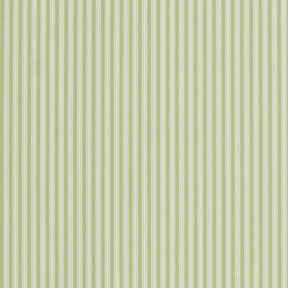 Polo Stripe Fabric